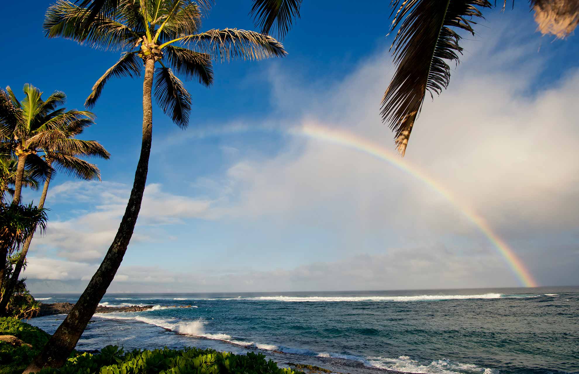 Piece of Maui Real Estate - Siu Whitehead